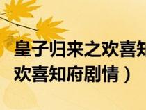 皇子归来之欢喜知府全部演员表（皇子归来之欢喜知府剧情）