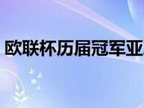 欧联杯历届冠军亚军一览（欧联杯历届冠军）