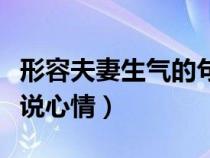 形容夫妻生气的句子说说心情（生气的句子说说心情）