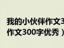 我的小伙伴作文300字优秀范文（我的小伙伴作文300字优秀）