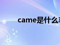 came是什么车（camry是什么车）