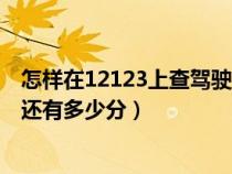 怎样在12123上查驾驶证还有多少分（12123如何查驾驶证还有多少分）