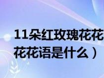 11朵红玫瑰花花语是什么意思（11朵红玫瑰花花语是什么）