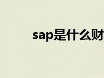 sap是什么财务软件（sap是什么）