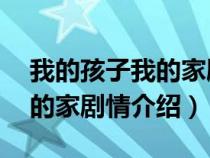 我的孩子我的家剧情介绍30集（我的孩子我的家剧情介绍）