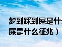 梦到踩到屎是什么征兆 女性解梦（梦到踩到屎是什么征兆）