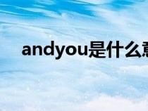 andyou是什么意思（andy是什么意思）