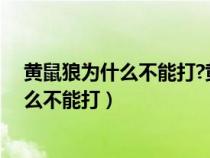 黄鼠狼为什么不能打?黄鼠狼成精的真实事件（黄鼠狼为什么不能打）