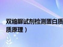 双缩脲试剂检测蛋白质原理什么颜色（双缩脲试剂检测蛋白质原理）