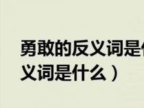 勇敢的反义词是什么 三年级上册（勇敢的反义词是什么）