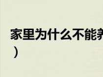 家里为什么不能养虎皮兰（虎皮兰可以水养吗）