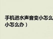 手机进水声音变小怎么办维修大概多少钱（手机进水声音变小怎么办）