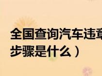 全国查询汽车违章（全国车辆违章查询12123步骤是什么）