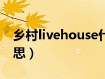 乡村livehouse什么意思（livehouse什么意思）