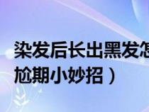 染发后长出黑发怎么补色（染发后长出黑发尴尬期小妙招）