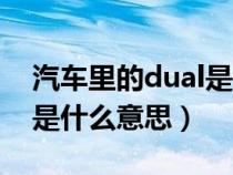 汽车里的dual是什么意思（汽车上面的dual是什么意思）