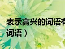 表示高兴的词语有哪些四字成语（表示高兴的词语）