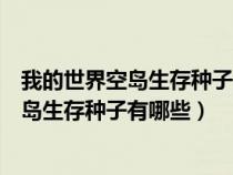 我的世界空岛生存种子手机版准确代码（我的世界手机版空岛生存种子有哪些）