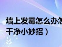 墙上发霉怎么办怎么去除（墙上发霉怎么清理干净小妙招）