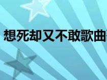 想死却又不敢歌曲歌词（想死却又不敢原唱）