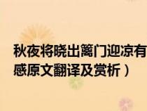 秋夜将晓出篱门迎凉有感全文翻译（秋夜将晓出篱门迎凉有感原文翻译及赏析）