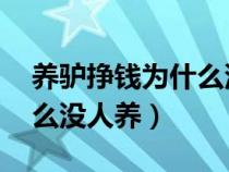 养驴挣钱为什么没人养 新闻（养驴挣钱为什么没人养）