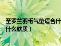 圣罗兰羽毛气垫适合什么肤质的人用（圣罗兰羽毛气垫适合什么肤质）