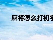 麻将怎么打初学图（麻将怎么打初学）