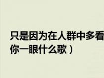 只是因为在人群中多看了你歌曲（只是因为在人群中多看了你一眼什么歌）