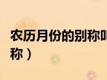 农历月份的别称叫什么（农历月份的别称和雅称）