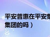 平安普惠在平安集团的地位（平安普惠是平安集团的吗）