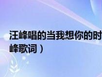 汪峰唱的当我想你的时候这首歌的含义（当我想你的时候汪峰歌词）