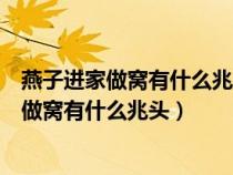 燕子进家做窝有什么兆头一只燕子进家有么预示（燕子进家做窝有什么兆头）