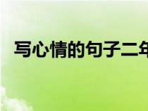 写心情的句子二年级上册（写心情的句子）