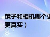 镜子和相机哪个更真实论文（镜子和相机哪个更真实）