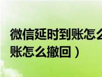 微信延时到账怎么撤回发出的钱（微信延时到账怎么撤回）