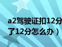 a2驾驶证扣12分会降成什么照（a2驾驶证扣了12分怎么办）