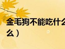 金毛狗不能吃什么食物清单（金毛犬不能吃什么）