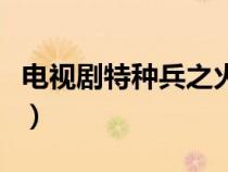 电视剧特种兵之火凤凰演员表（火凤凰演员表）