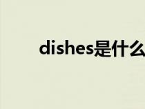 dishes是什么意思（diss什么意思）