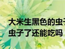 大米生黑色的虫子还能吃吗?（大米生黑色的虫子了还能吃吗）