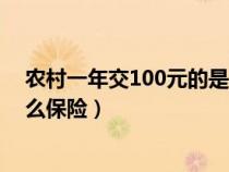 农村一年交100元的是什么社保（农村一年交100元的是什么保险）