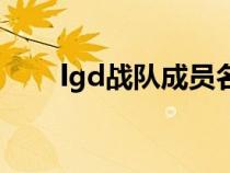 lgd战队成员名单（lgd战队有哪些）