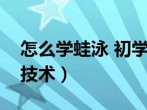 怎么学蛙泳 初学者（如何教初学者学习蛙泳技术）