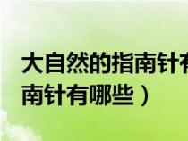 大自然的指南针有哪些2 100个（大自然的指南针有哪些）