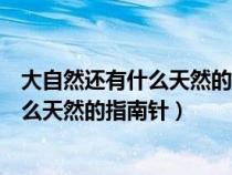 大自然还有什么天然的指南针可以辨别方向（大自然还有什么天然的指南针）