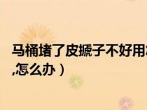 马桶堵了皮搋子不好用怎么办（马桶堵了,皮搋子也疏通不了,怎么办）