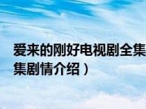 爱来的刚好电视剧全集剧情介绍大全（爱来的刚好电视剧全集剧情介绍）