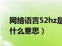 网络语言52hz是什么意思（网名取52HZ是什么意思）