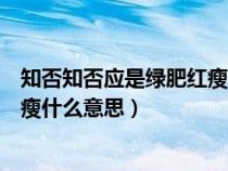 知否知否应是绿肥红瘦什么意思小说（知否知否应是绿肥红瘦什么意思）